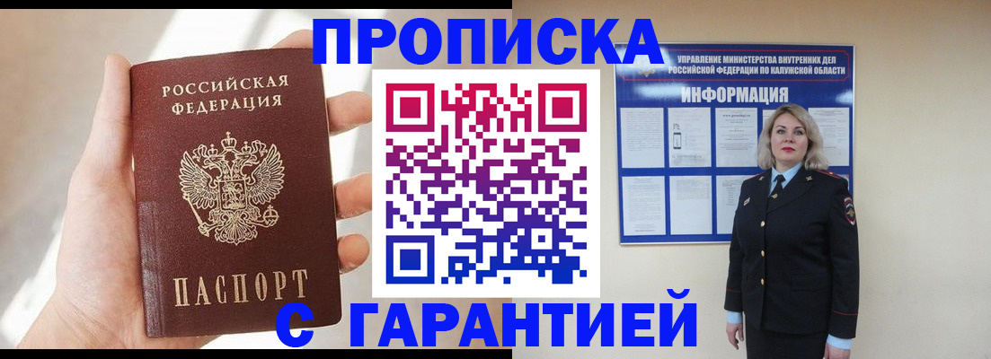 временная регистрация госуслуги в Никольском